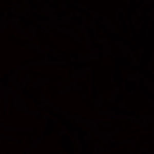 Meet your Posher, Aidan